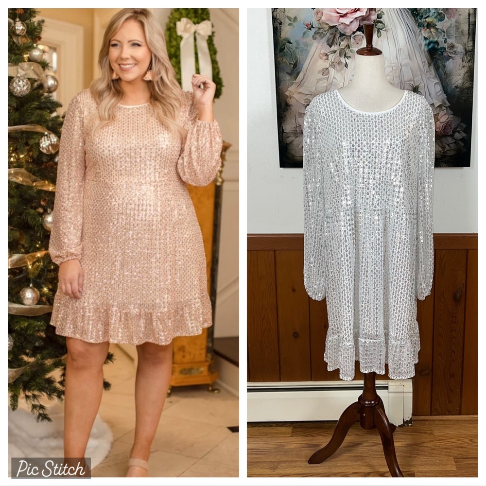 Gorgeous Chic Soul Silver Sequin Dress!
